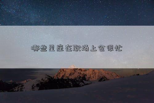 哪些星座在职场上会很忙