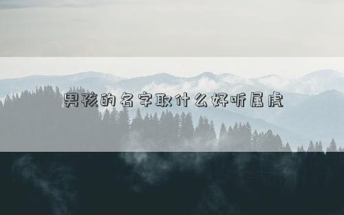 男孩的名字取什么好听属虎