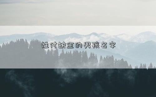 姓付缺金的男孩名字