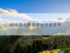 刚生出来的宝宝取什么名字