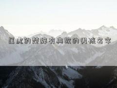 属虎的楚辞有典故的男孩名字