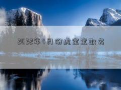 2022年4月份虎宝宝取名