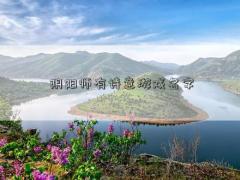 阴阳师有诗意游戏名字