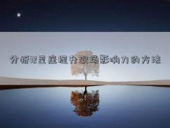 分析12星座提升职场影响力的方法