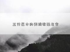 五行属木的男孩张姓名字