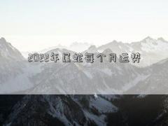 2022年属蛇每个月运势