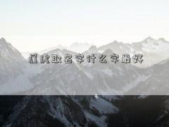 属虎取名字什么字最好