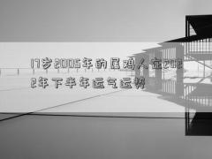 17岁2005年的属鸡人在2022年下半年运气运势