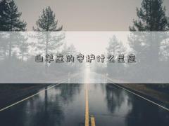 白羊座的守护什么星座