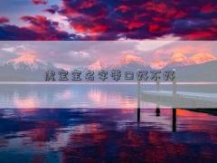 虎宝宝名字带口好不好