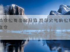 二字公司名称集锦 简单大气的公司名字