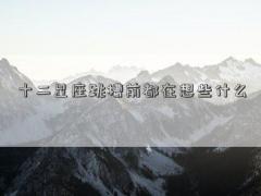 十二星座跳槽前都在想些什么