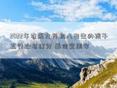 2022年农历九月初八出生的孩子五行取名打分 最佳宜用字