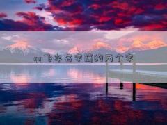 qq飞车名字简约两个字