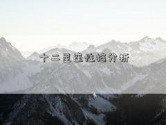 十二星座性格分析