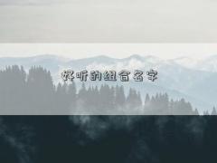 好听的组合名字