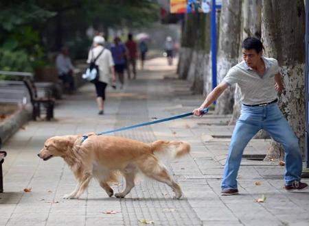 鼻孔朝天命运怎么样