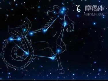 12星座好女人