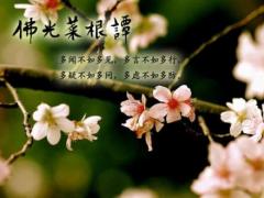 属虎的人适合什么名字大全