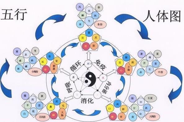 06313-.沉默是金，不随便发表言论的星座有哪些