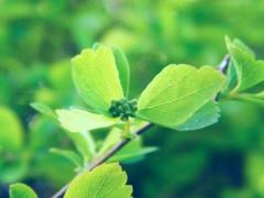 家字辈分大气的的男孩名 名字寓意及推荐