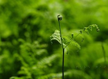 9231-.属虎的宝宝取什么小名