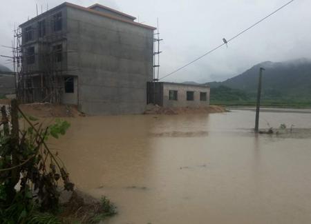 梦见水泥地面