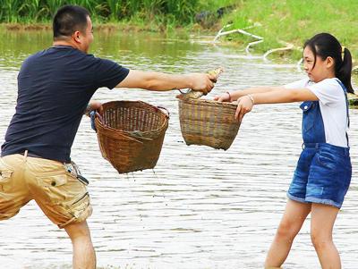 梦见房间、卧室