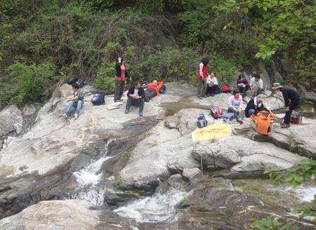 梦见沼泽预示着什么 梦见湿地有什么含义