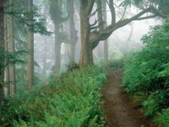 67年属羊男一生运势如何 属羊人的靠山