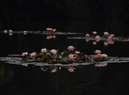 检测公司取名字