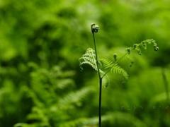 霸气又骚气的群名