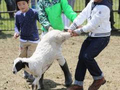 梦见换鞋是什么意思