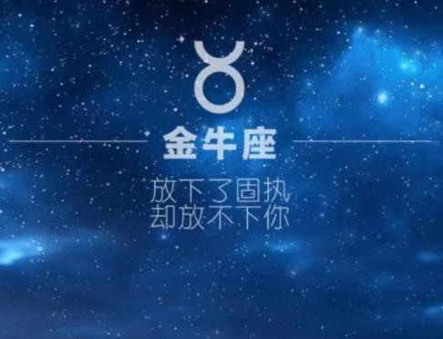 金星星座相貌