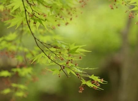 「徐秉龙」徐秉龙名字测试打分及寓意内涵