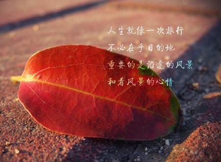 邹恭龙名字打分和寓意「邹恭龙姓名测试打分」