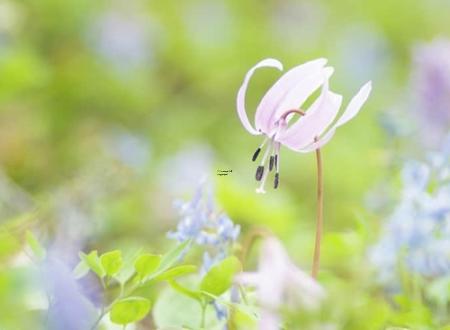 沈秋芬名字打分和寓意「沈秋芬姓名测试打分」