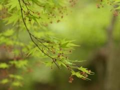 「徐秉龙」徐秉龙名字测试打分及寓意内涵