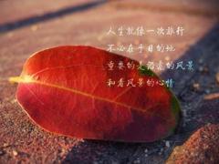 邹恭龙名字打分和寓意「邹恭龙姓名测试打分」