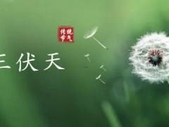 属马二月份什么星座