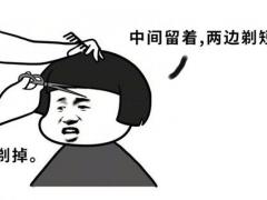 梦见狗要自己抱是什么意思