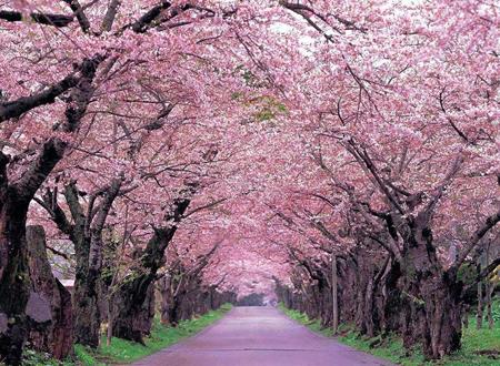 属虎今日财运水墨先生 属虎明日运势