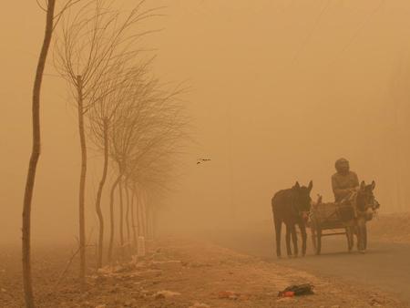 梦见被鱼刺卡住是什么意思