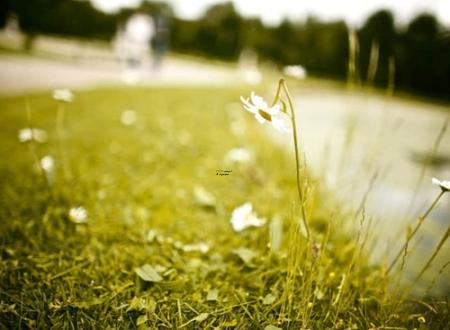 段燕芬名字打分和寓意「段燕芬姓名测试打分」