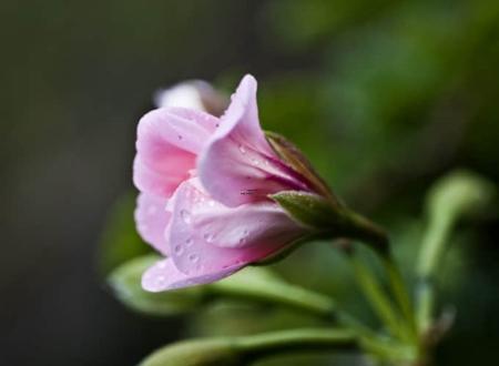 天秤座5月下半月运势 天秤座4月份运势超准