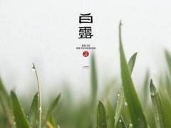 正月初一的节日风俗是,正月初一到正月十五是什么节日