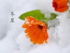 广东正月初二的风俗是什么呢,春节正月初二是什么日子
