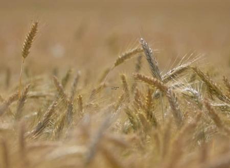 太岁门前一五九未解明日 太岁动土是什么意思