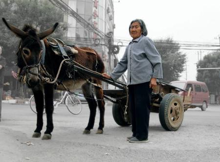 梦见荷花含苞待放是什么意思