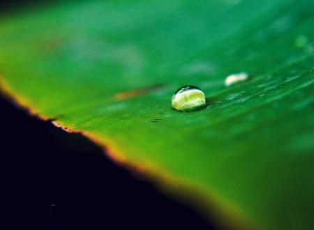 「李雨轩」李雨轩名字测试打分及寓意内涵